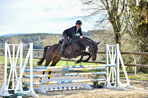 photographe equestre auvergne hunter