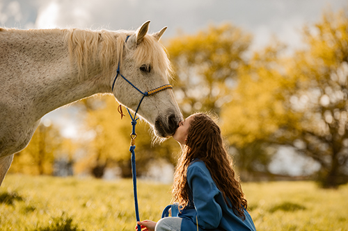 photographe equin issoire