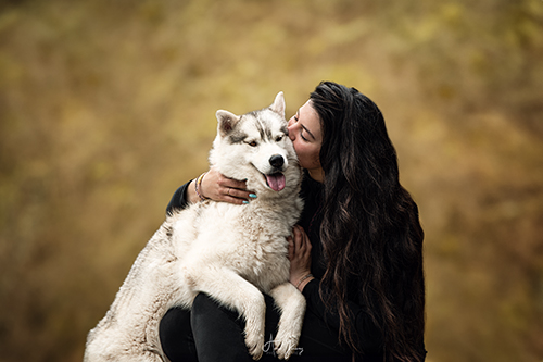 Photographe canin Brioude Husky
