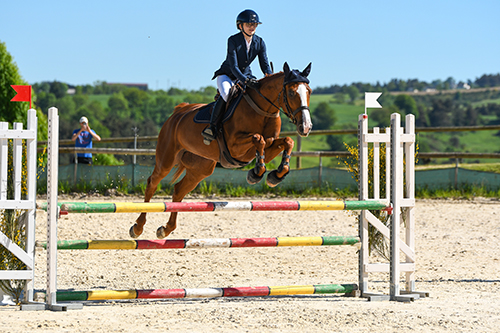 photographe sport équestre compétition CSO Cantal