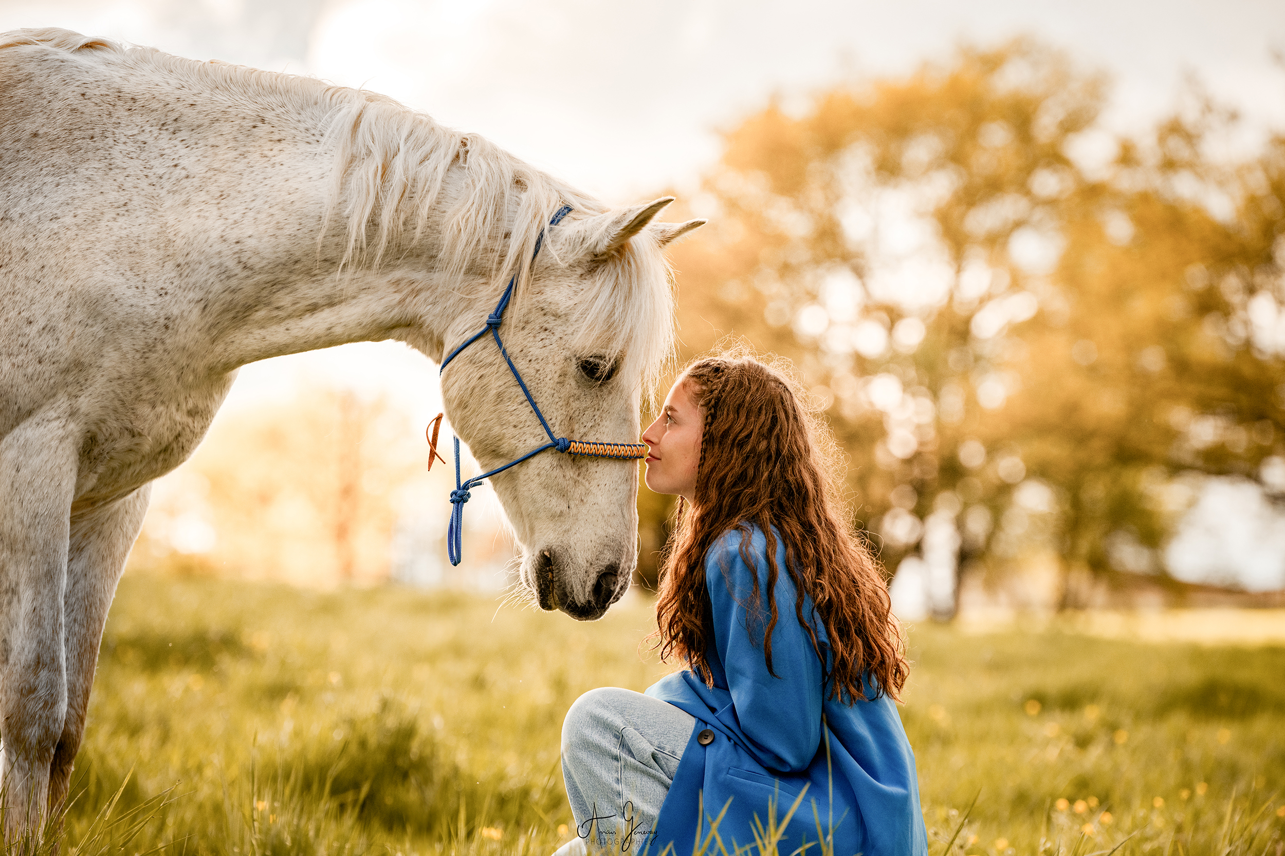 photographe equin issoire