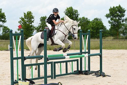 photographe sport équestre compétition CSO haute loire