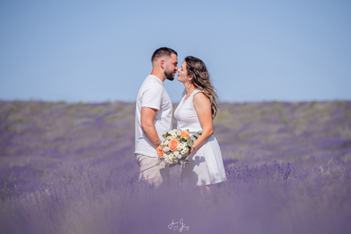 photographe couple lavandes puy de dome