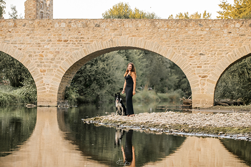 photographe canin chien cocker brioude auvergne