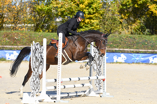 photographe auvergne compétition hunter équitation