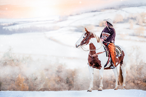 photographe auvergne cavalière western