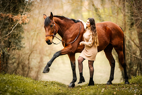 photographe puy de dome equin cheval cavalière