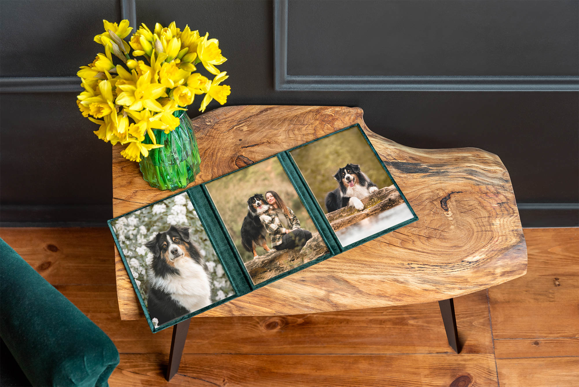 photographe professionnelle animalier auvergne