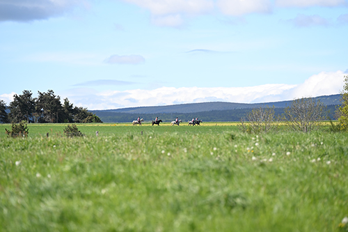 photographe auvergne endurance