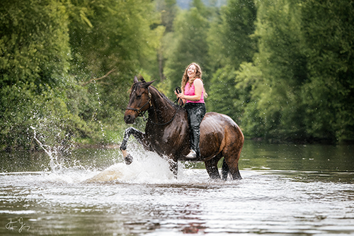 photographe equestre haute loire